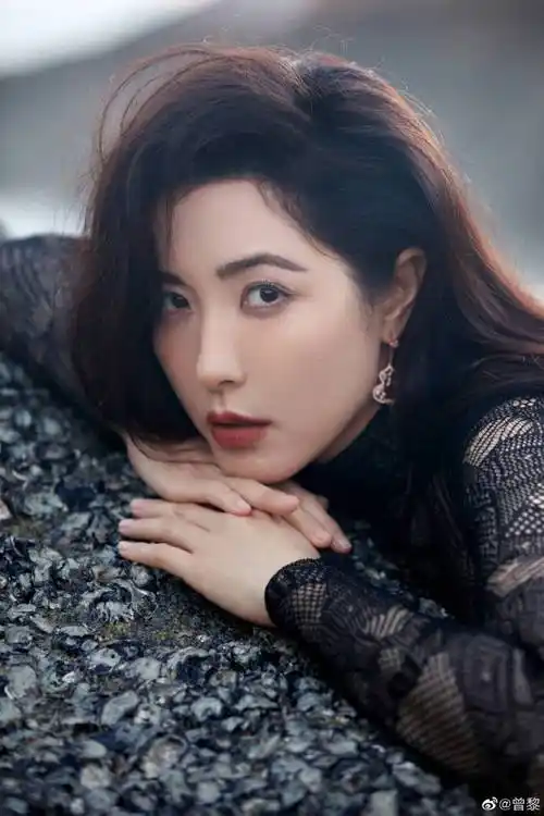 曾黎发写真五官明艳优雅大气