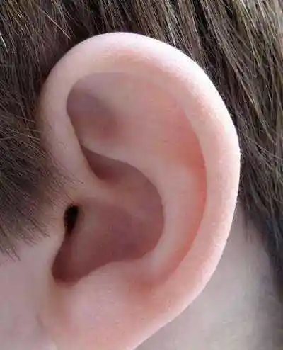 手臂上种耳朵视频真相