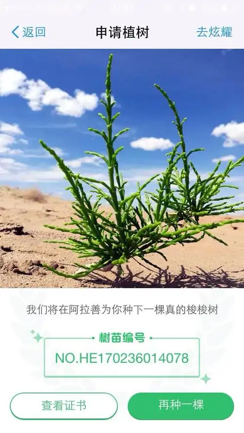 【trb澳洲仓直邮】dencorub关节膏100g