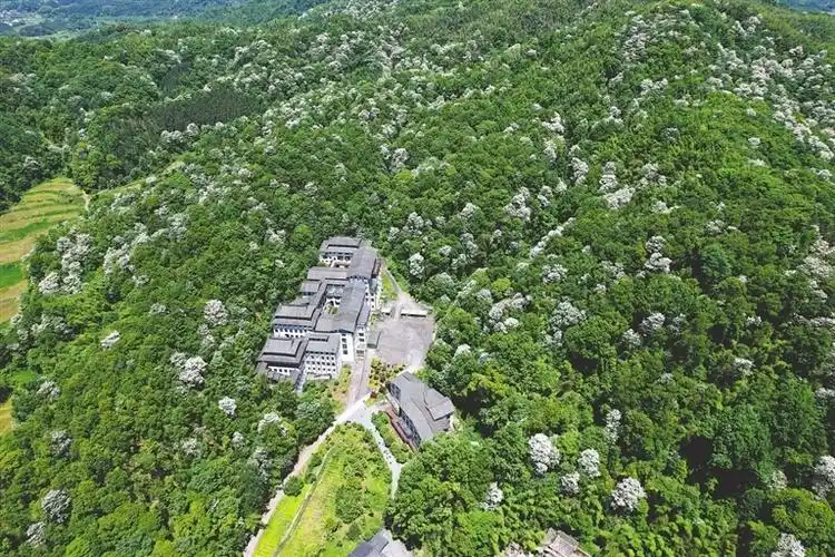 宜丰县:灵动孟夏 诗意江南(图)