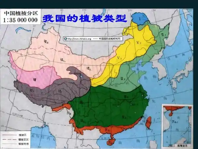 生物:第7章第3节我国的绿色生态工程课件(北师大版七年级上)ppt