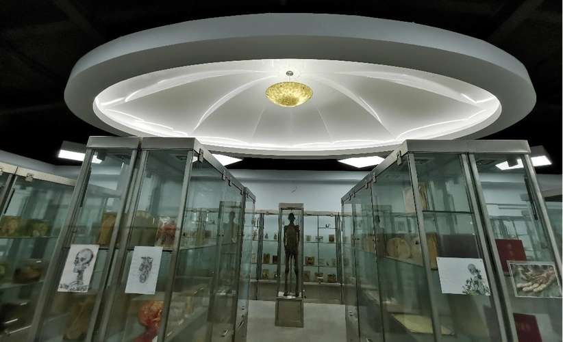 清明时节,走进解剖馆,有记忆,更有感恩_标本_人体_年代