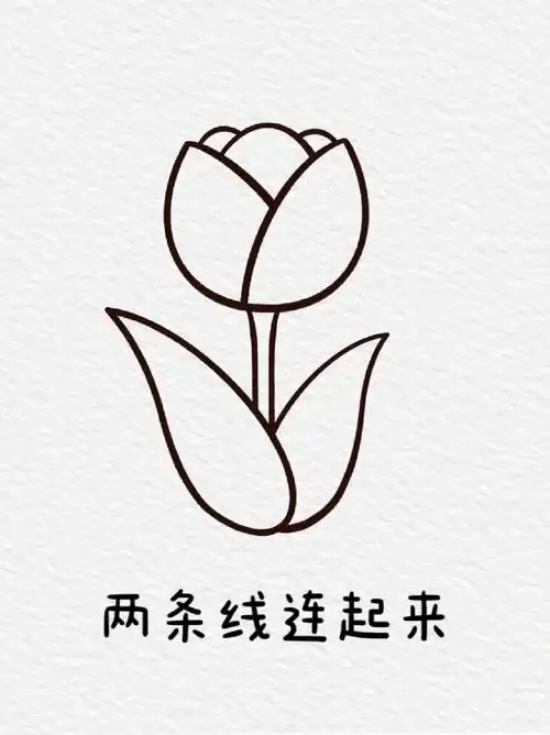 花朵简笔画 宝子们平常做手抄报都画什么元素呀但是大部分主题的手抄