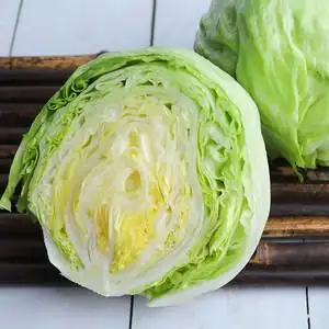 顺丰球形生菜新鲜包邮圆形蔬菜5斤蔬菜沙拉材料时令汉堡用菜色拉