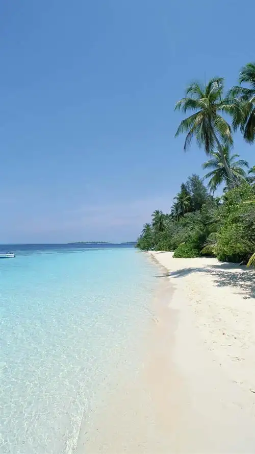 养眼夏日海滩风光