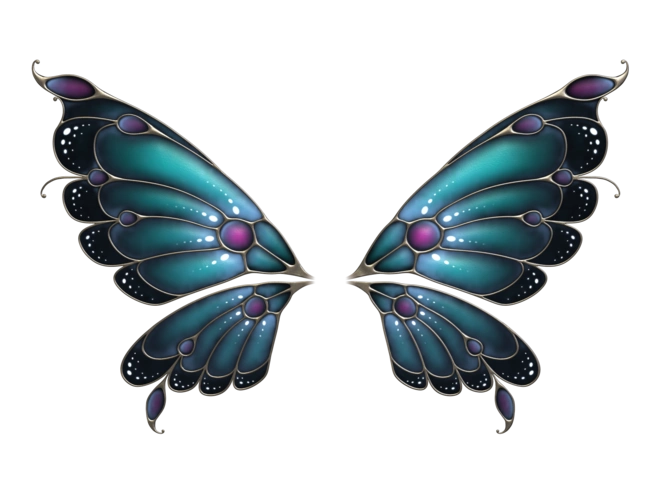 蝴蝶翅膀图片大全