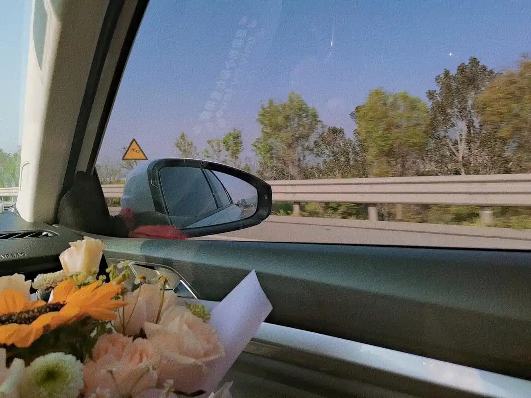 治愈系图片 2021.5.