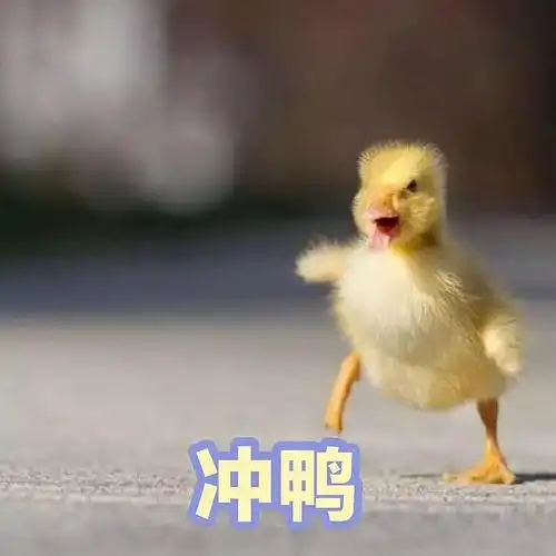 蘑菇的相册-表情包收藏夹