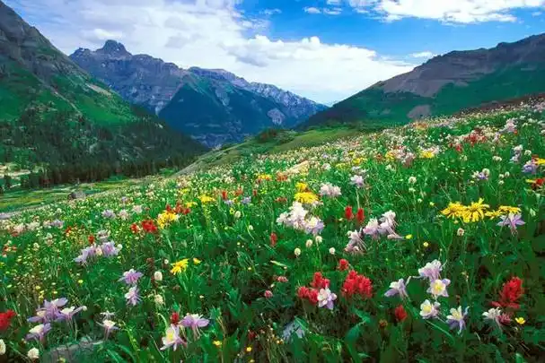 于大自然之中寻找宁静,品味生活的美妙!