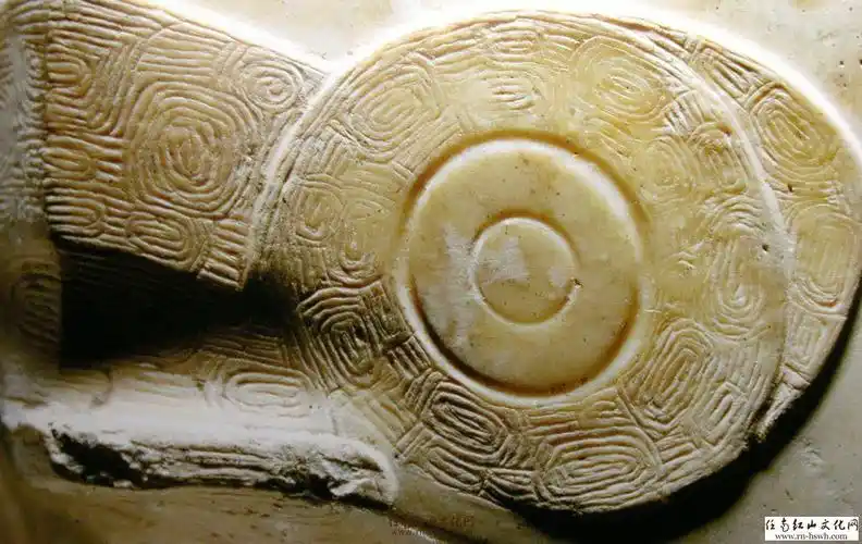 良渚中心区阴刻线细节,与刻划工具