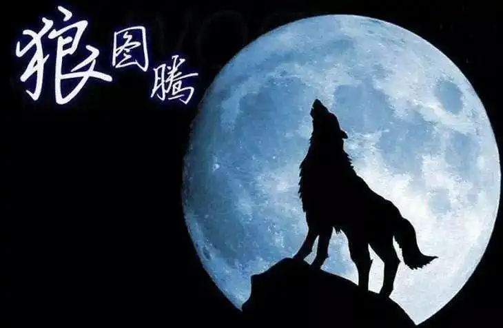 狼性精神,坚韧,不屈,团结,勇往直前,决不后退,团队精神,配合