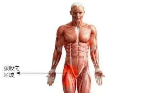 在我们的大腿根部