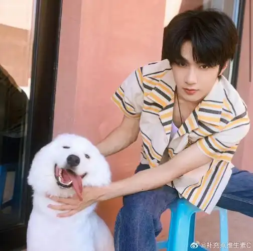 刘耀文微博更新!土豆来啦