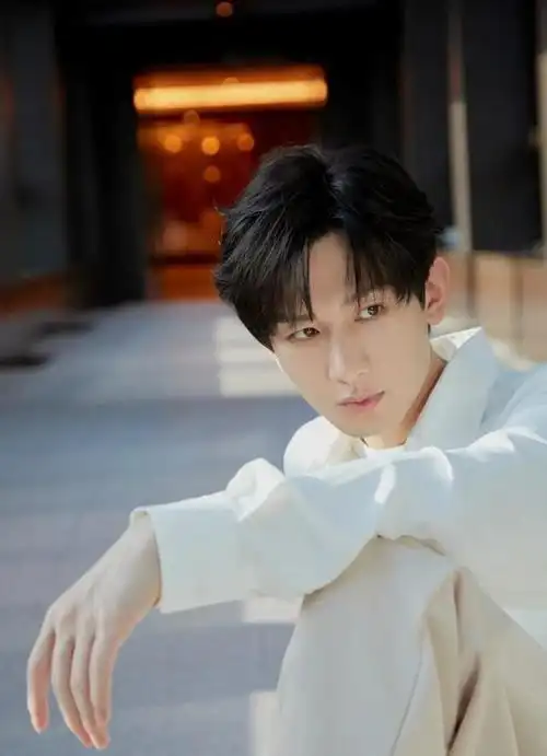 2024内娱洗牌:肖战王一博退位?成毅成新晋顶流?