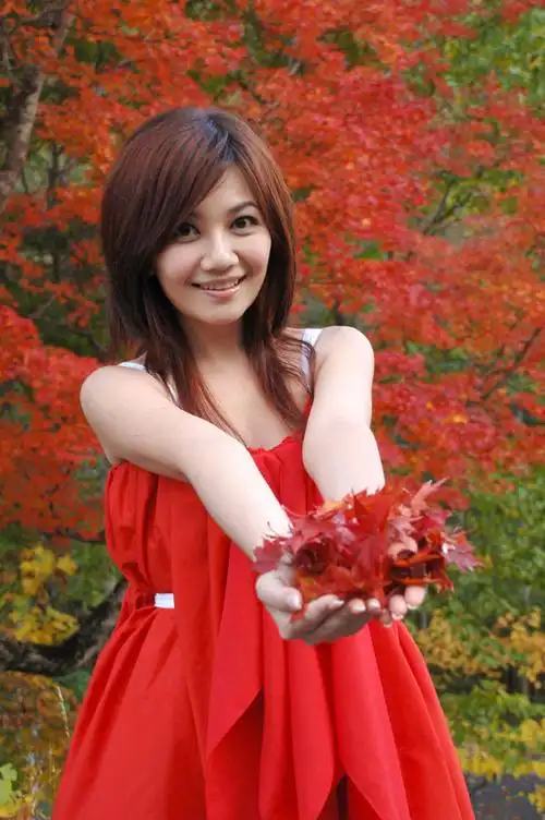 捧着落叶的梁静茹