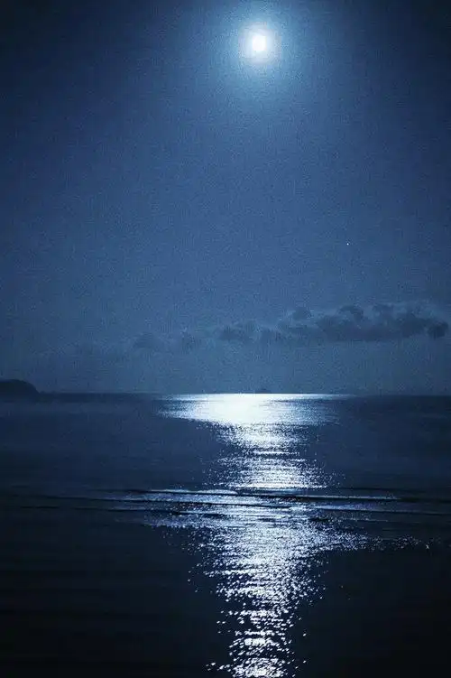 夜里的海