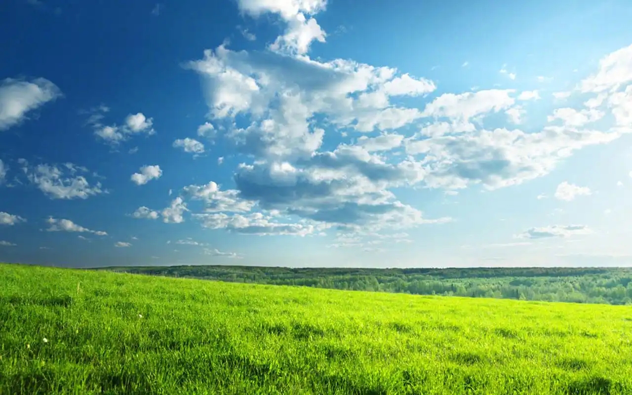 高清护眼绿色草原图片桌面壁纸