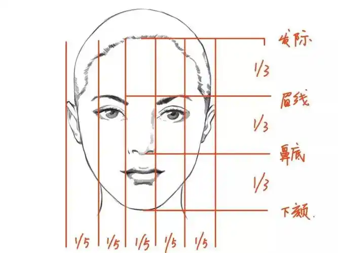 素描头像:认识头部的三庭五眼在三庭五眼"的基础美术人脸画法上出现了