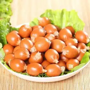 惠特食品 波波肠2.5kg 火锅 麻辣烫 串串香家用商用