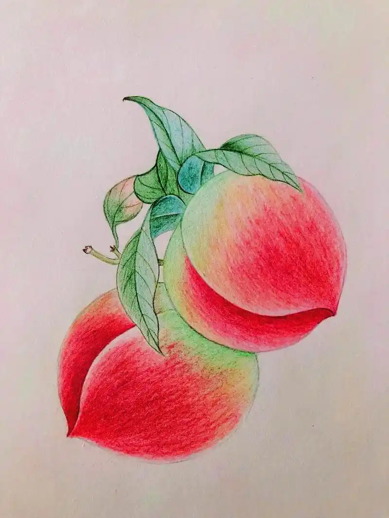 红桃子熟红如火,掷向人间与世人.#美术培训 #彩铅画 #爱画 - 抖音