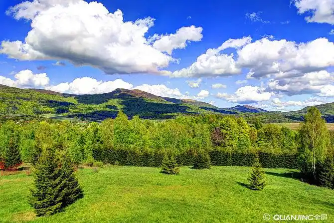 照片图片_图片大全