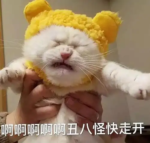 汤汤的相册-总有些奇奇怪怪的表情包