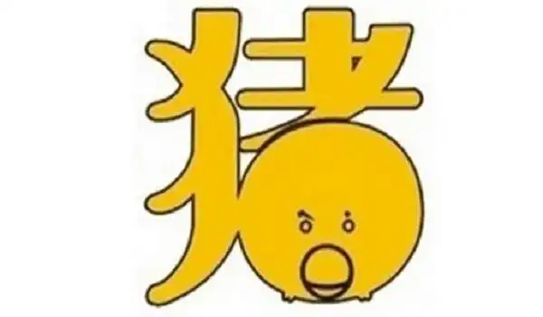 1995年24岁属猪算命大师给你看运势婚姻