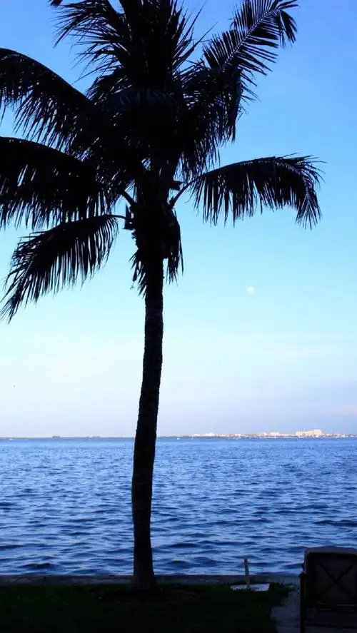 1200_2128竖版 竖屏