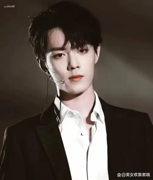 古今中外高颜值帅哥之肖战