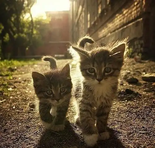 美容抗衰老7.5小时的"黄金点"