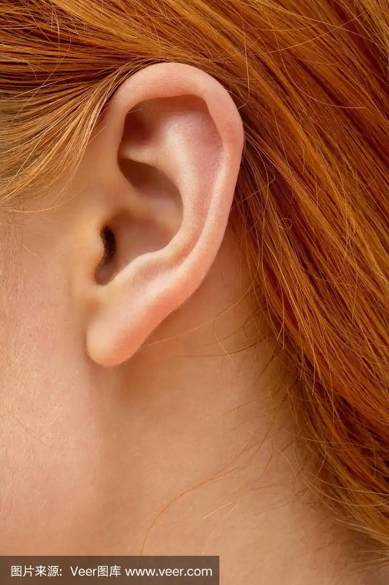 女性耳朵的特写
