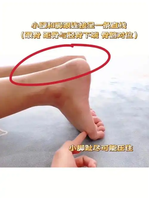 脚跟内侧并拢26615尽可能全部的脚趾压地,力压在跖趾关节稍靠上的