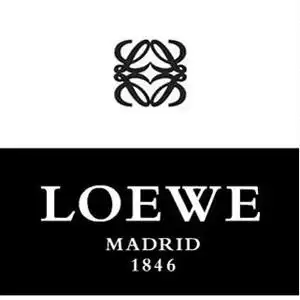 【古着】loewe 罗意威 复古简约logo拉链手拿包(麂皮×皮革) 棕色(a)