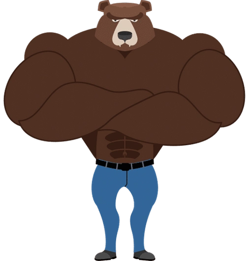 强壮的熊素材