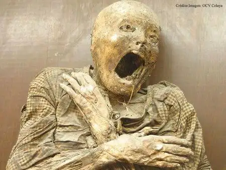 胆小勿入世界上10座最吓人博物馆图