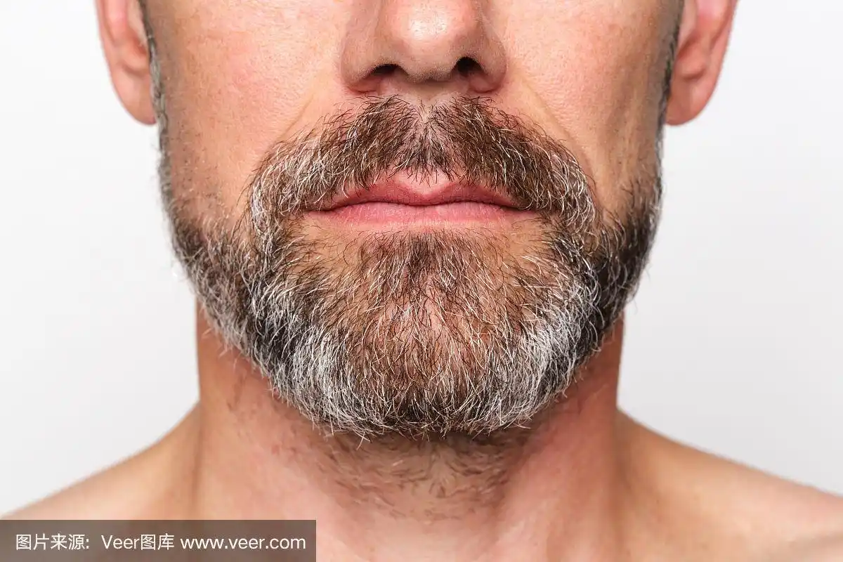 近距离的成熟成年男性的肖像与完整的胡子.