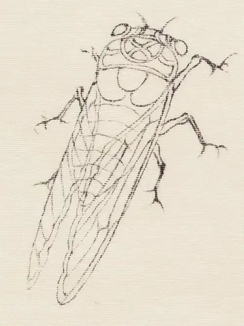 我的日常  #国画  #花鸟画  #工笔画  #白描 #万物皆可聊艺术