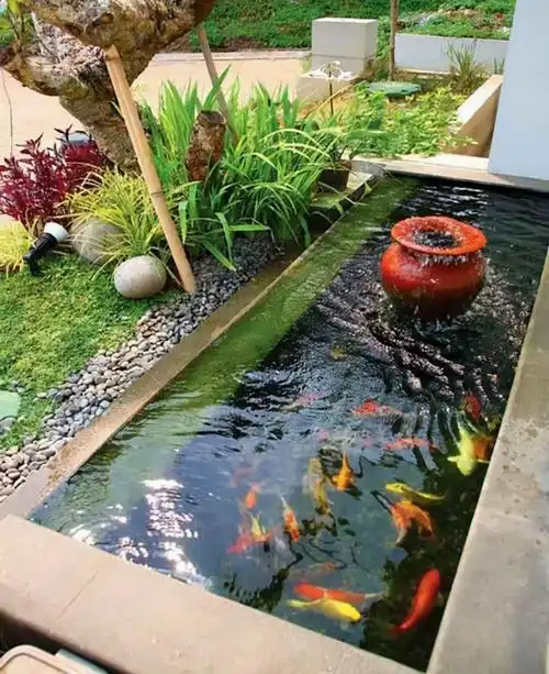 规则式鱼池主要是采用钢筋混凝土或砖混结构做成,形状规则,有明显的池