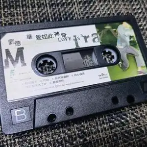 刘德华爱如此神奇