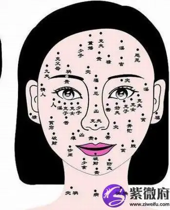 女人看面相算命图解 一,鼻准浑圆,鼻梁不陷鼻子看财,女看夫运.