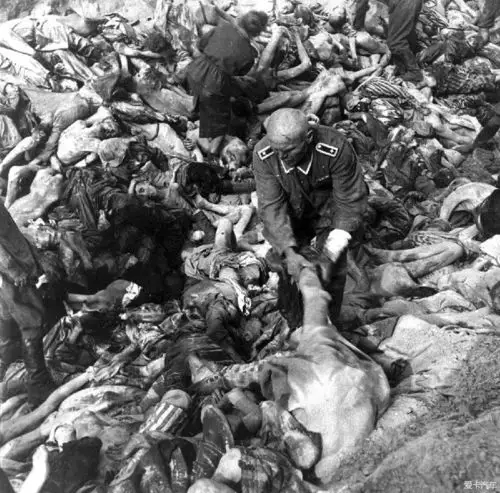 汽车论坛大全 图说世界 03 正文