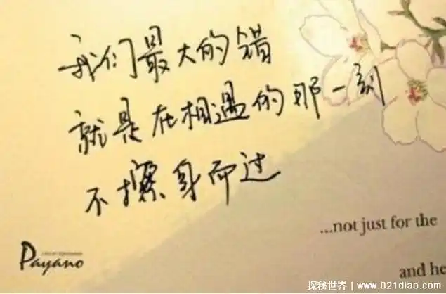 第一眼就心动的文案爱情短句,温柔浪漫的撩人句子