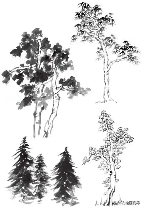 常见树的画法