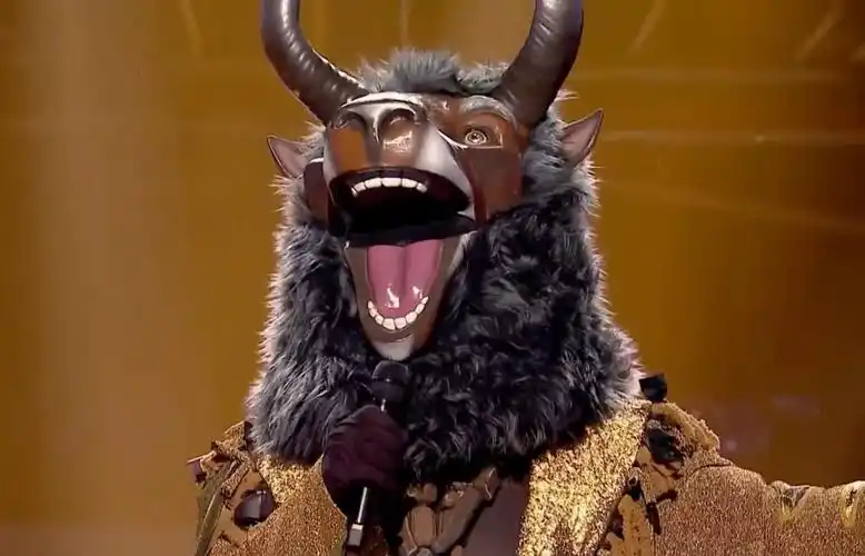 ufc冠军参加《蒙面歌王》