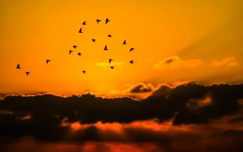 傍晚最美的夕阳风光