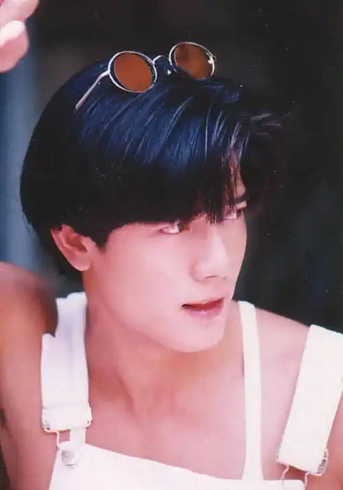 8位年轻时惊为天人,但开花时间很短,颜值迅速崩塌的明星_吴彦祖_狄龙