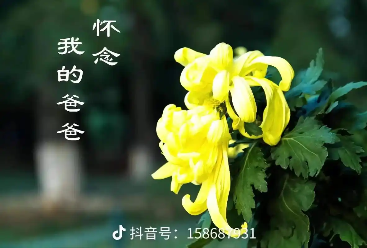 父亲一路走好050505父亲今晚我给你守完灵050505愿父