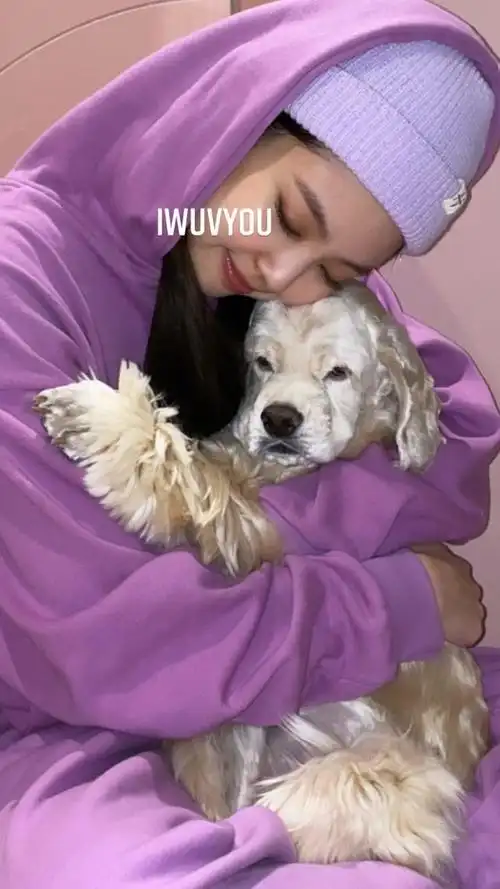 粉墨jennie抱狗自拍一秒换脸甜妹变大佬妮英文发音流利获盛赞