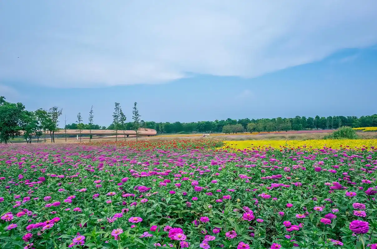 江苏三台山国家森林公园,宿迁人的"后花园",景色美如仙境-搜狐大视野-