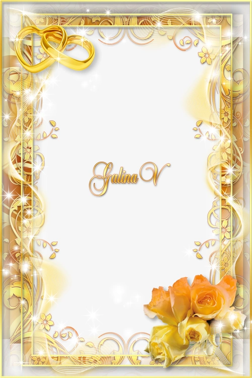 透明金色酷炫边框